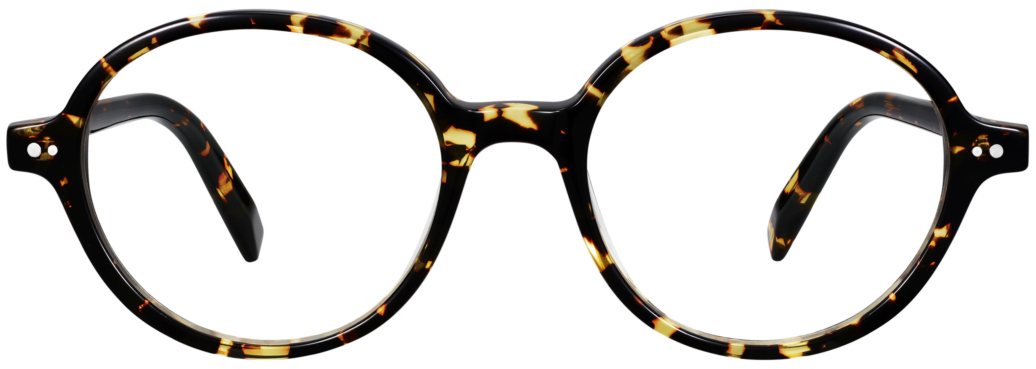 Atticus Black Oak Tortoise, baseTransparent view