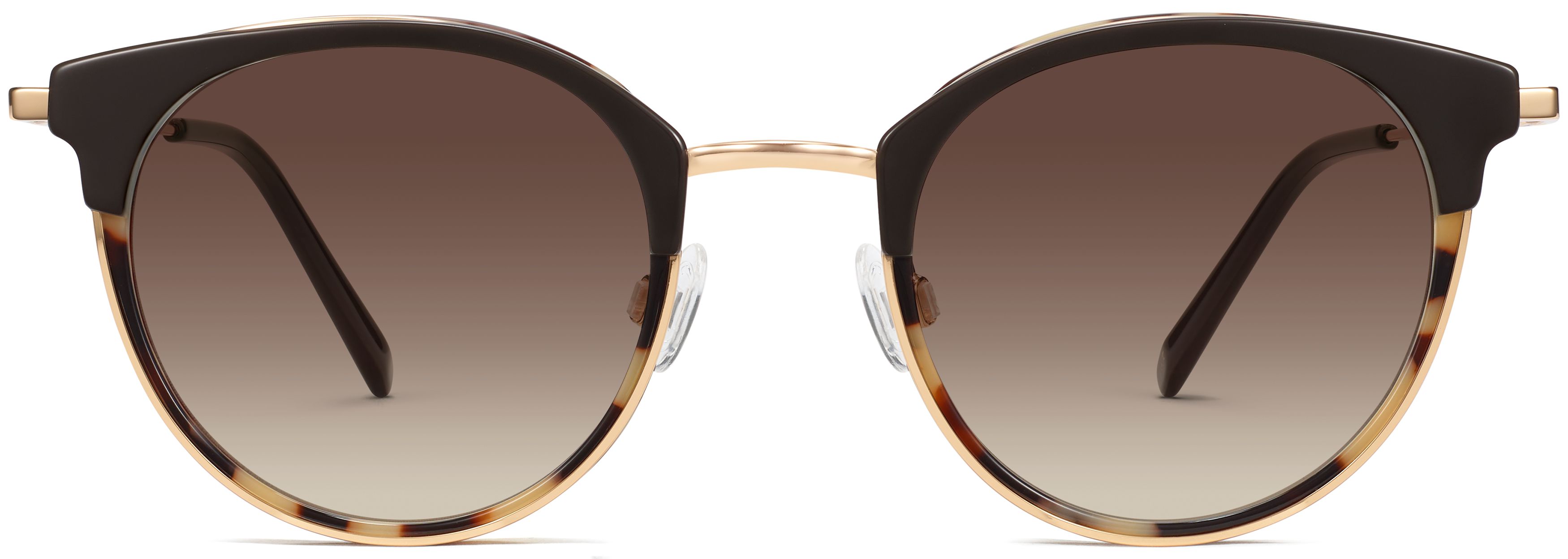 Angelise Layered Marzipan Tortoise with Polished Gold, front view