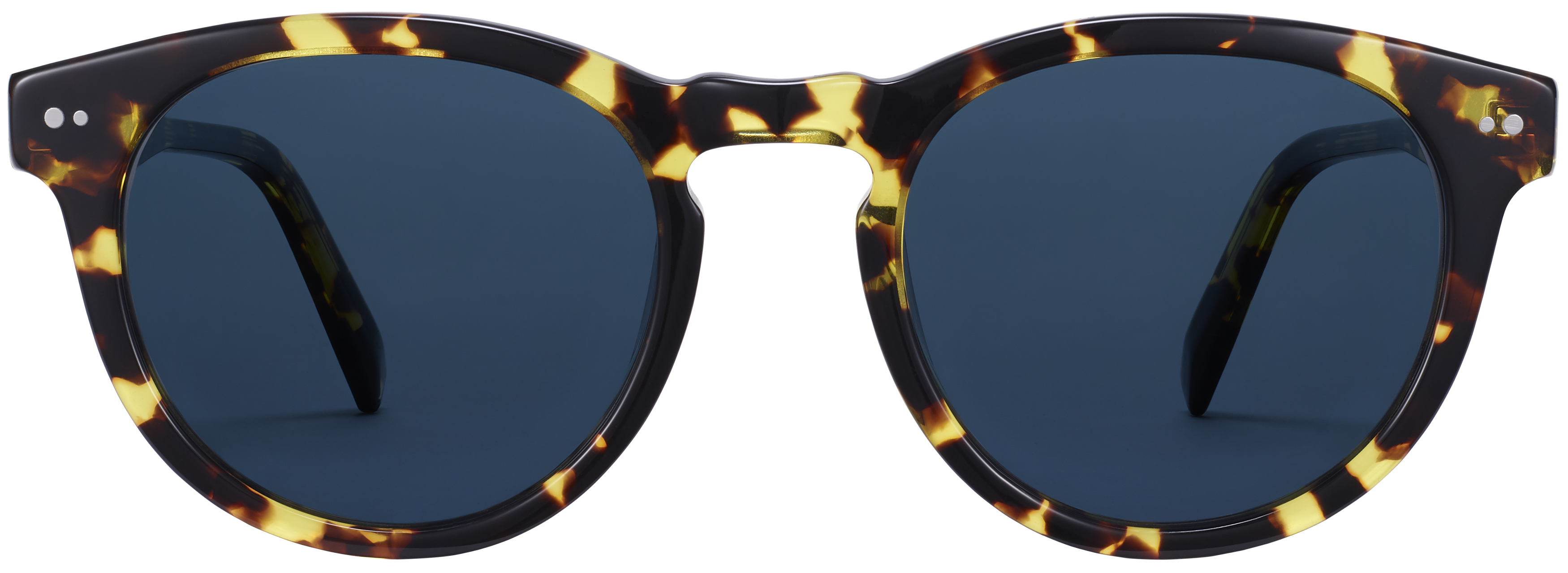 Hayes Mesquite Tortoise, baseTransparent view