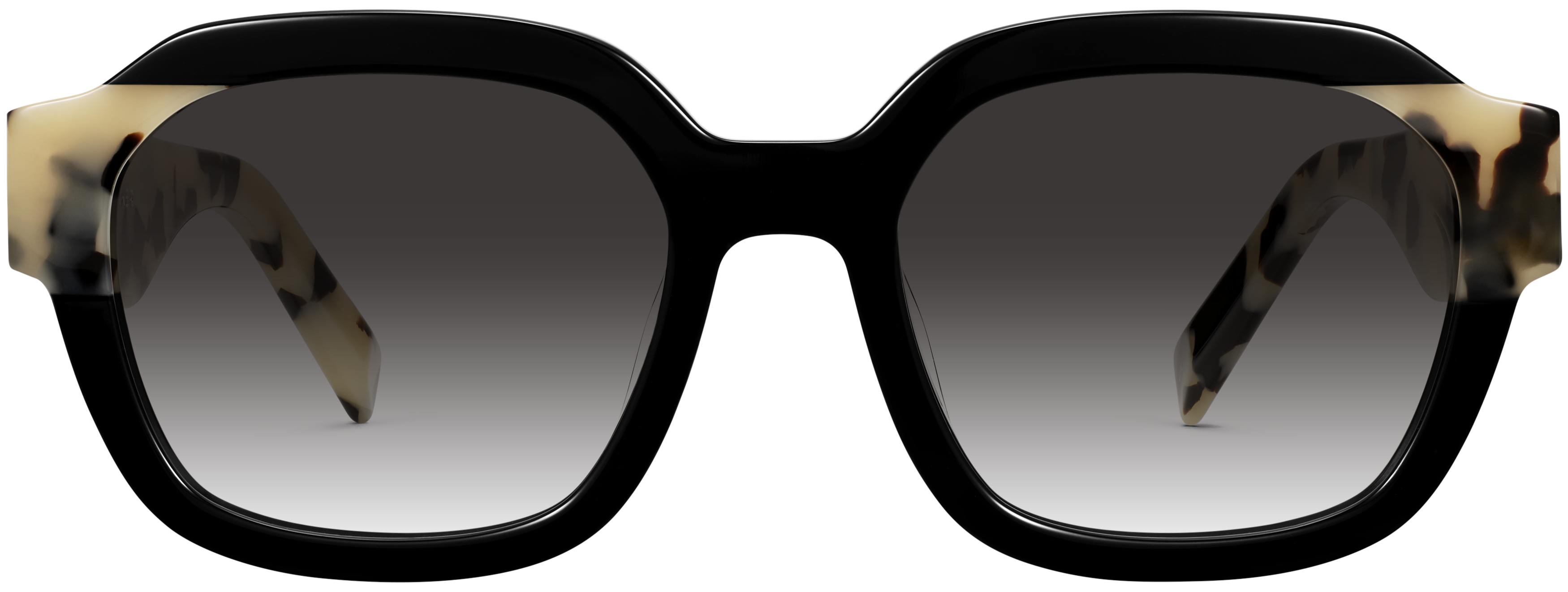 Nida Jet Black with Stone Tortoise, baseTransparent view