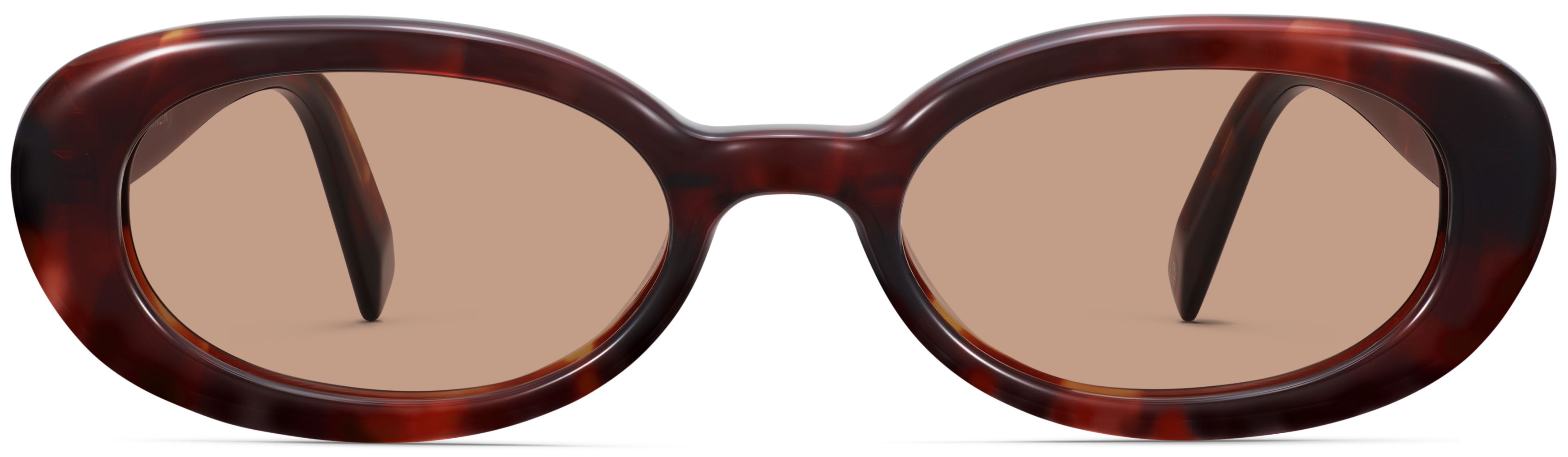 Millie Ancho Tortoise, front view
