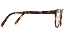 Whalen in Acorn Tortoise, thumbnail 5