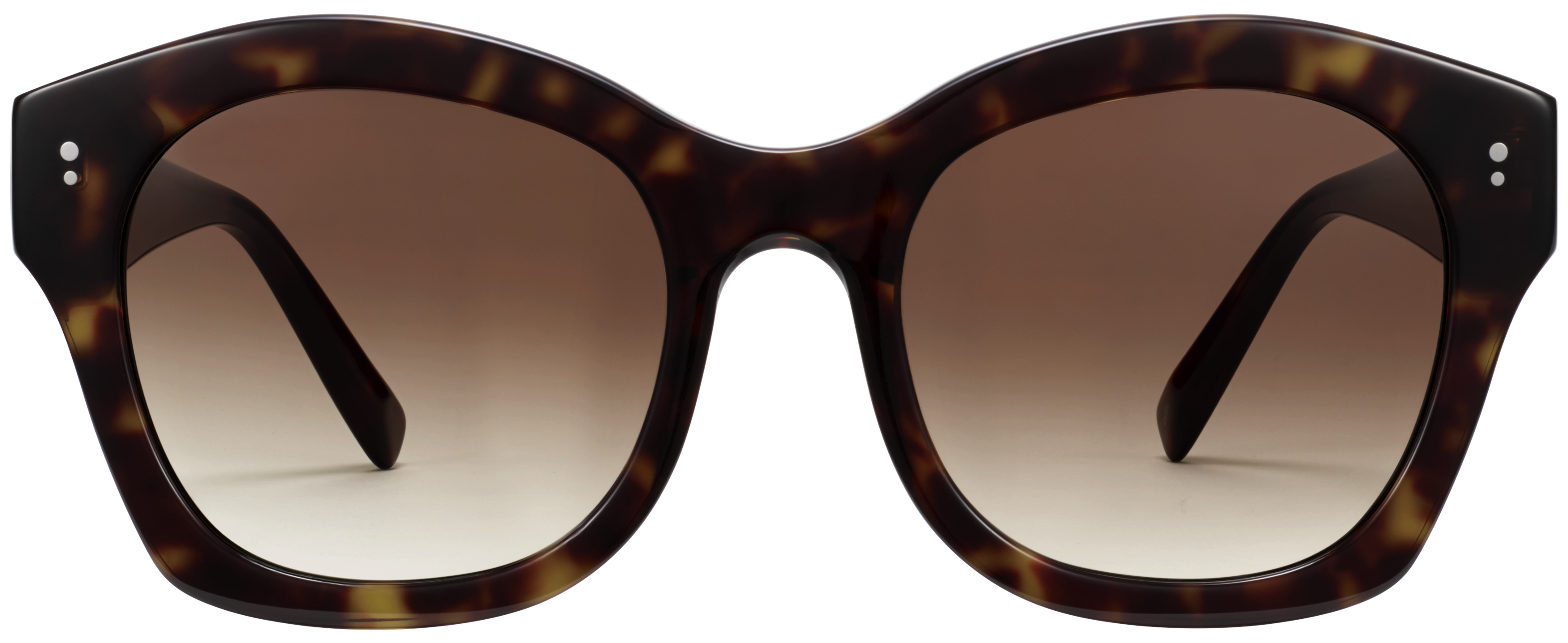 Gael Cognac Tortoise, baseTransparent view