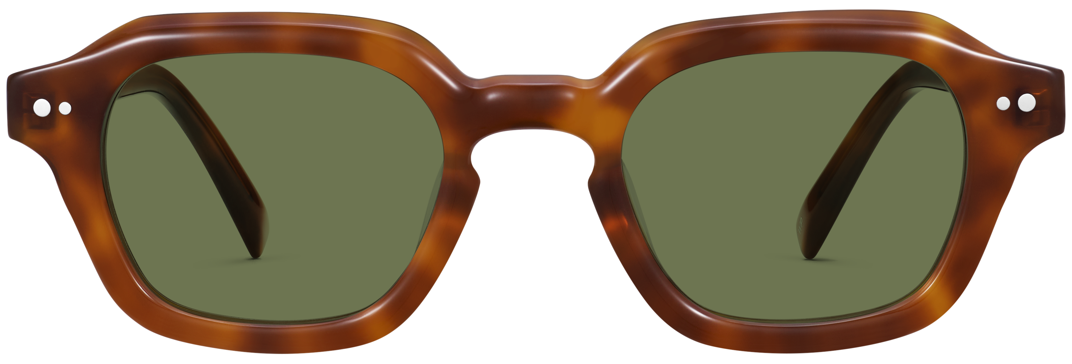 Carson Cinnamon Tortoise, baseTransparent view
