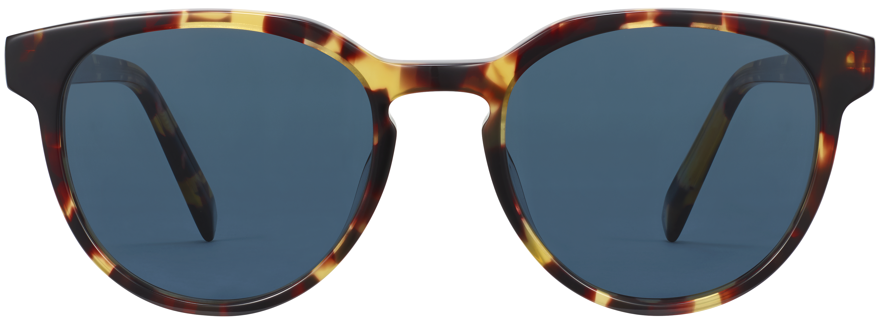 Wright Walnut Tortoise, baseTransparent view