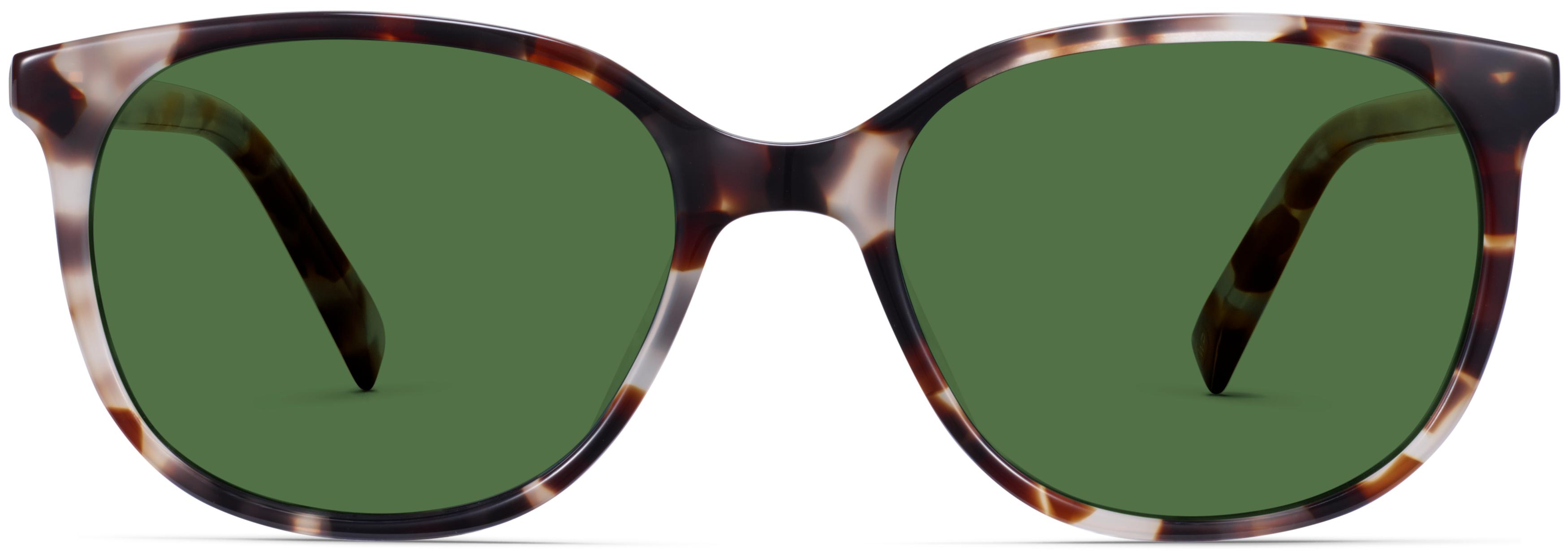 Warby Parker Retro Round Sunglasses - Tortoise Frame, Dark 
