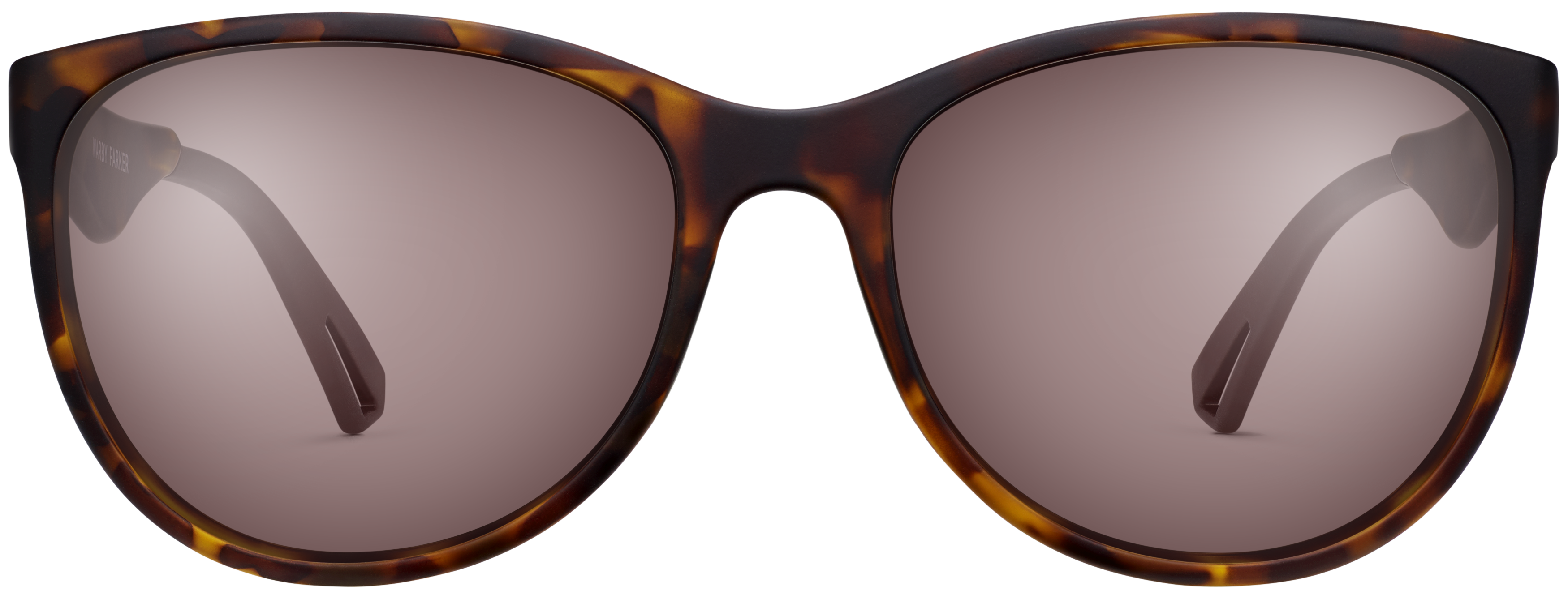 Sierra Mahogany Tortoise, baseTransparent view