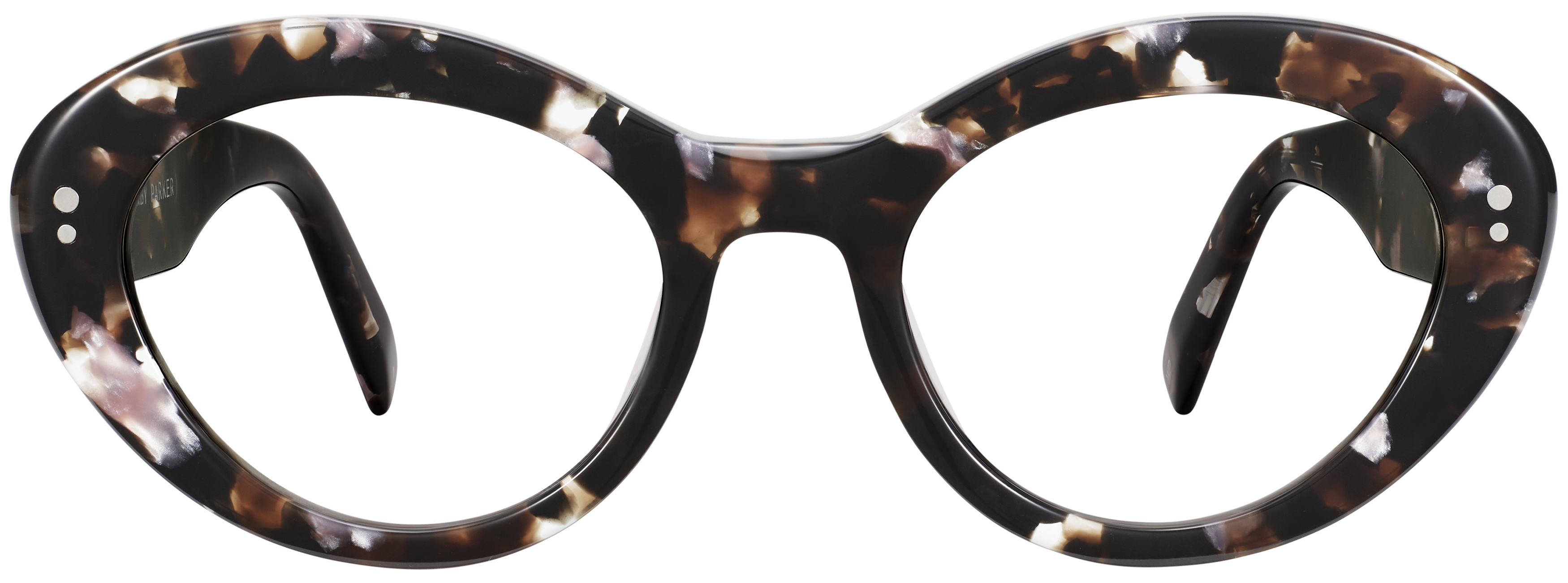 Pippa Black Currant Tortoise, baseTransparent view