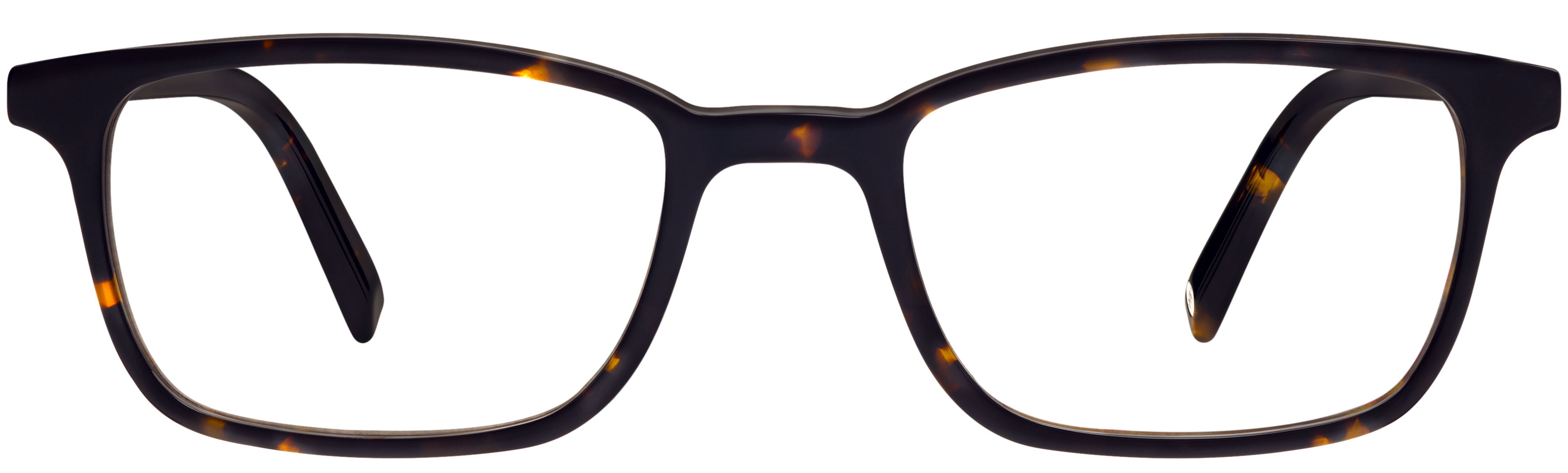 Oliver Whiskey Tortoise, baseTransparent view
