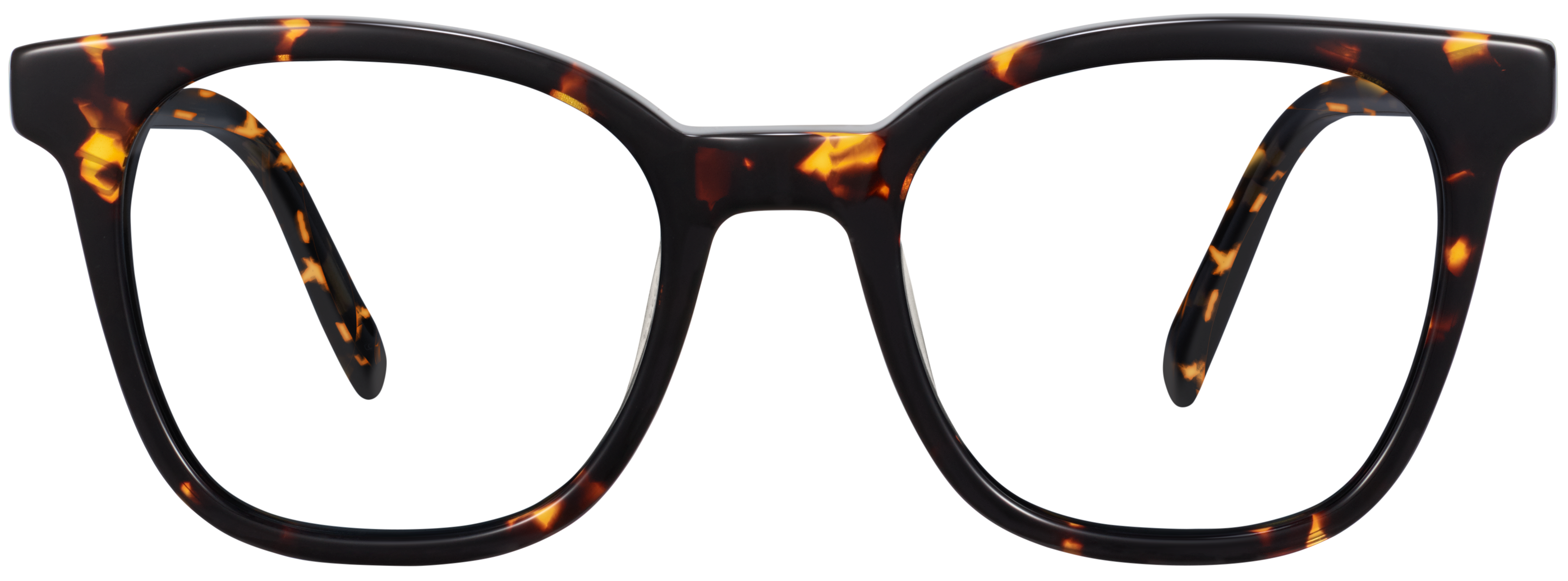 Griffin Burnt Honeycomb Tortoise, baseTransparent view