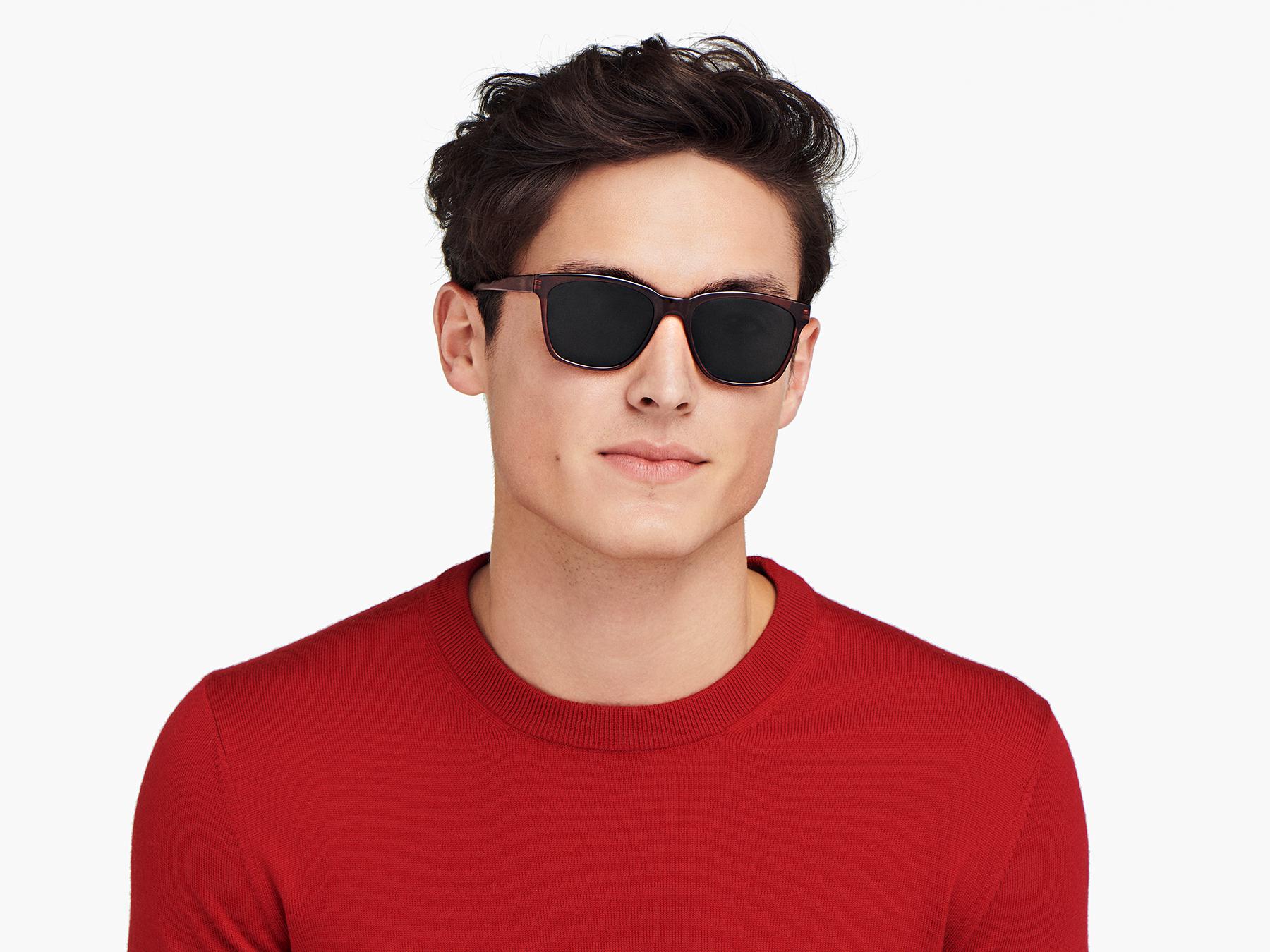 Warby parker cheap polarized lens