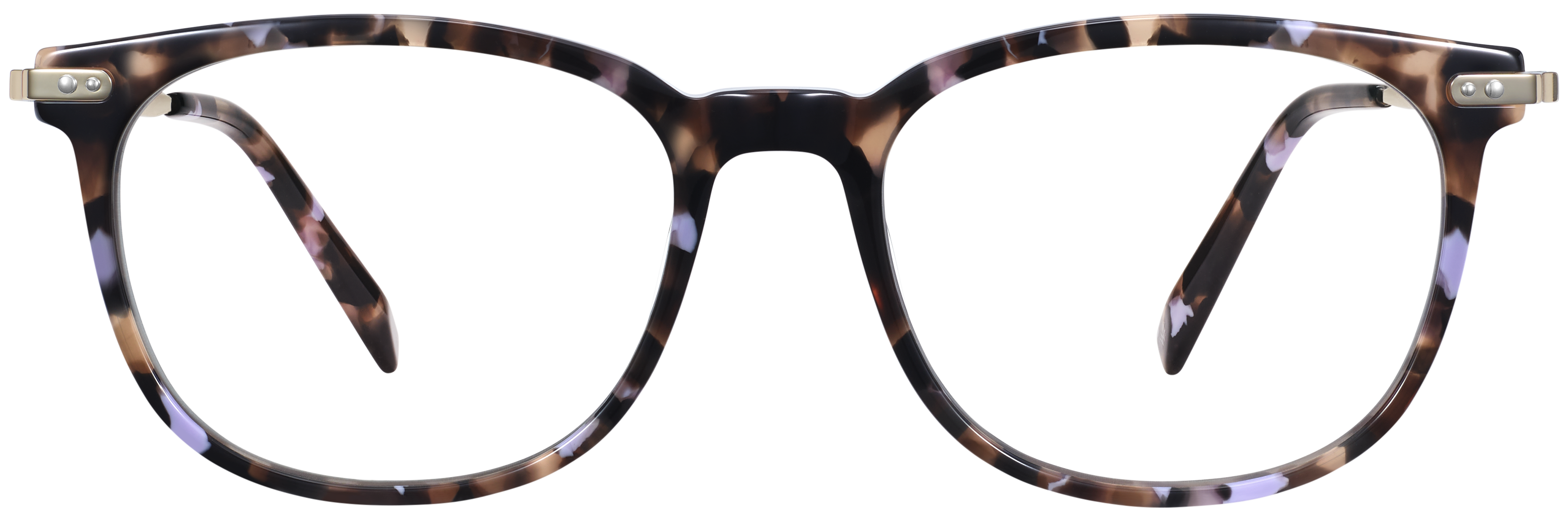Cicely Lavender Tortoise with Riesling, baseTransparent view