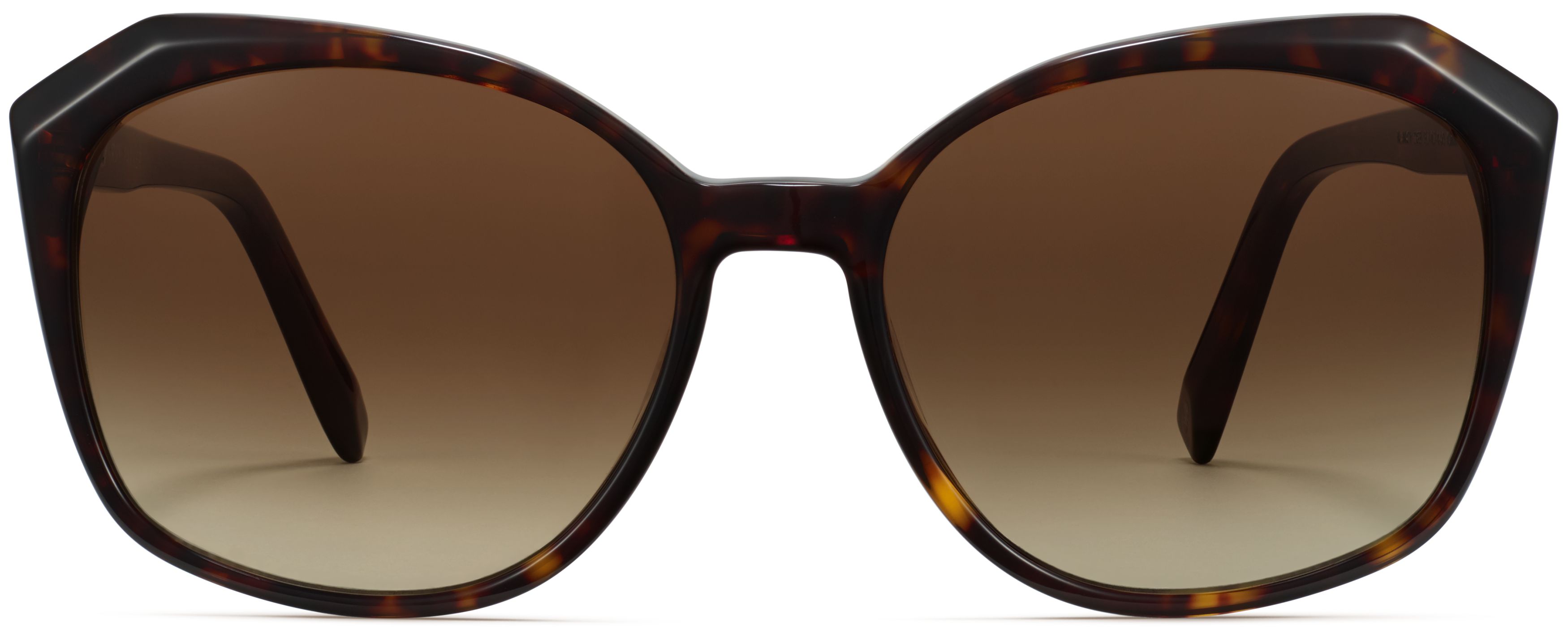 Nancy Cognac Tortoise, front view
