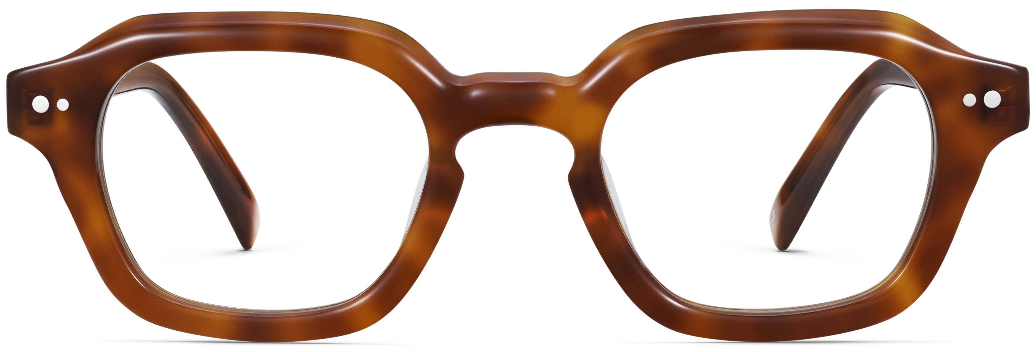 Carson Cinnamon Tortoise, front view