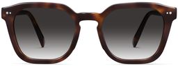 Tova in Cola Tortoise, thumbnail 4