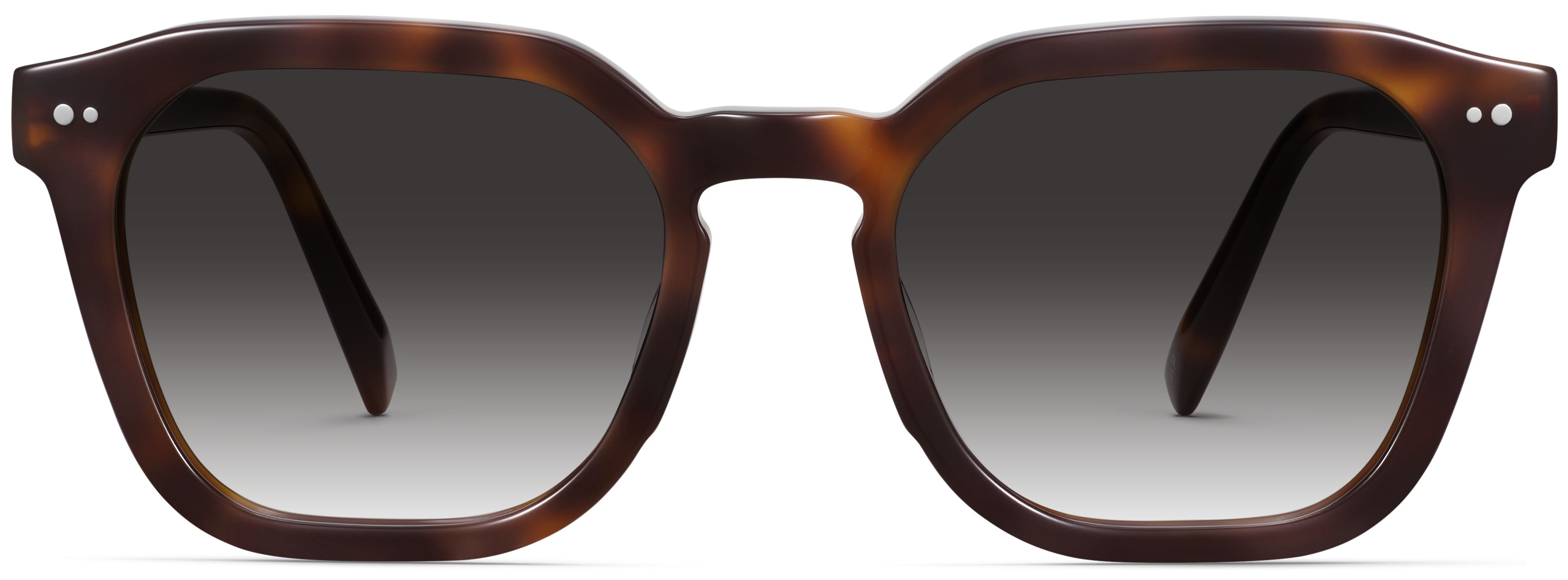 Tova Cola Tortoise, front view