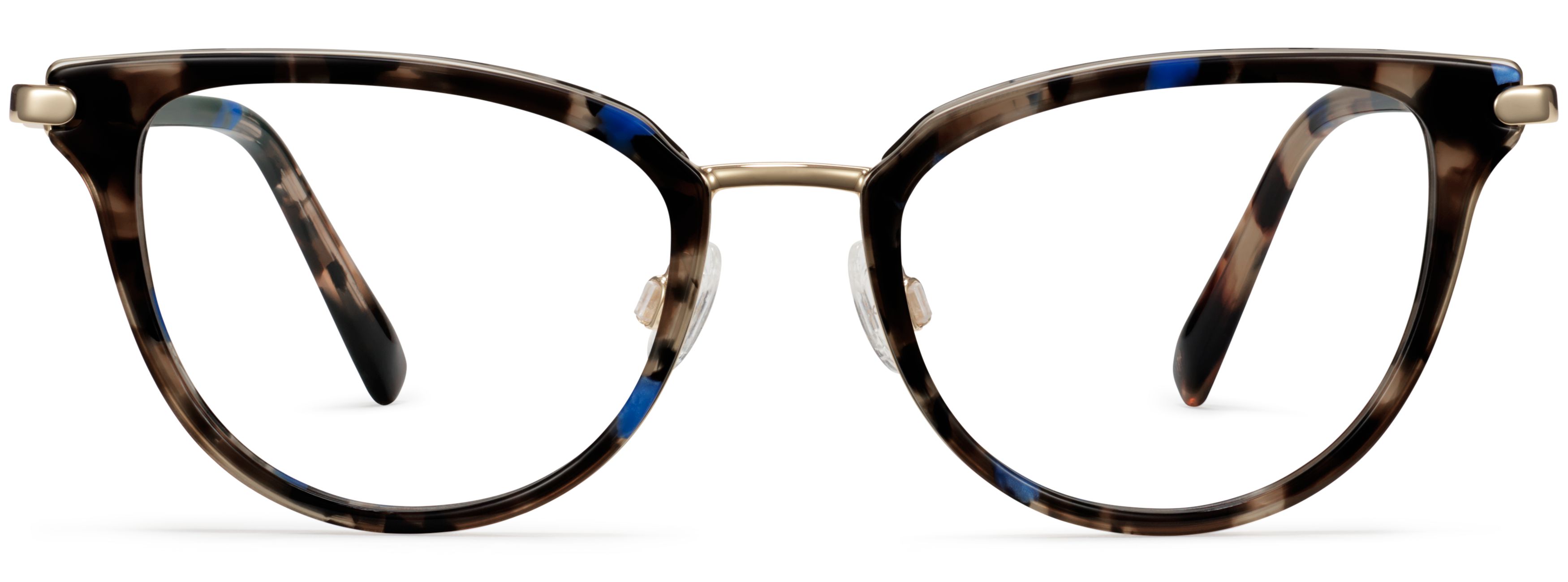 Toula Tanzanite Tortoise with Polished Gold, front view