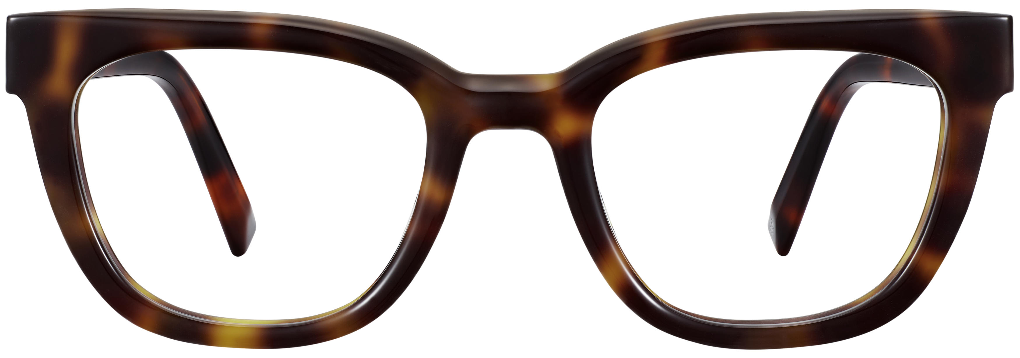Hollis Cola Tortoise, baseTransparent view