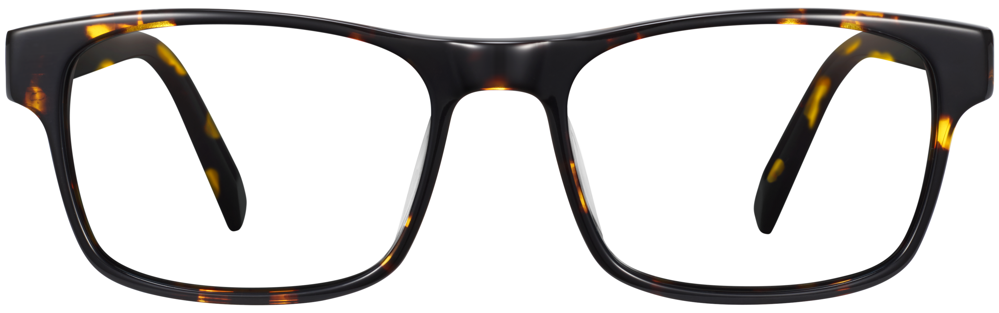 Perkins Burnt Honeycomb Tortoise, baseTransparent view