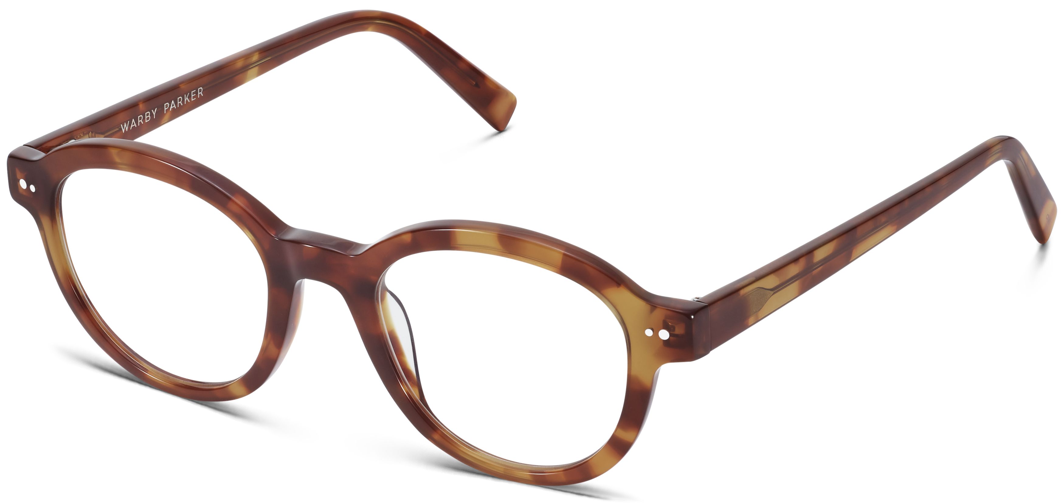 Bingley in Saddle Tortoise, image 1