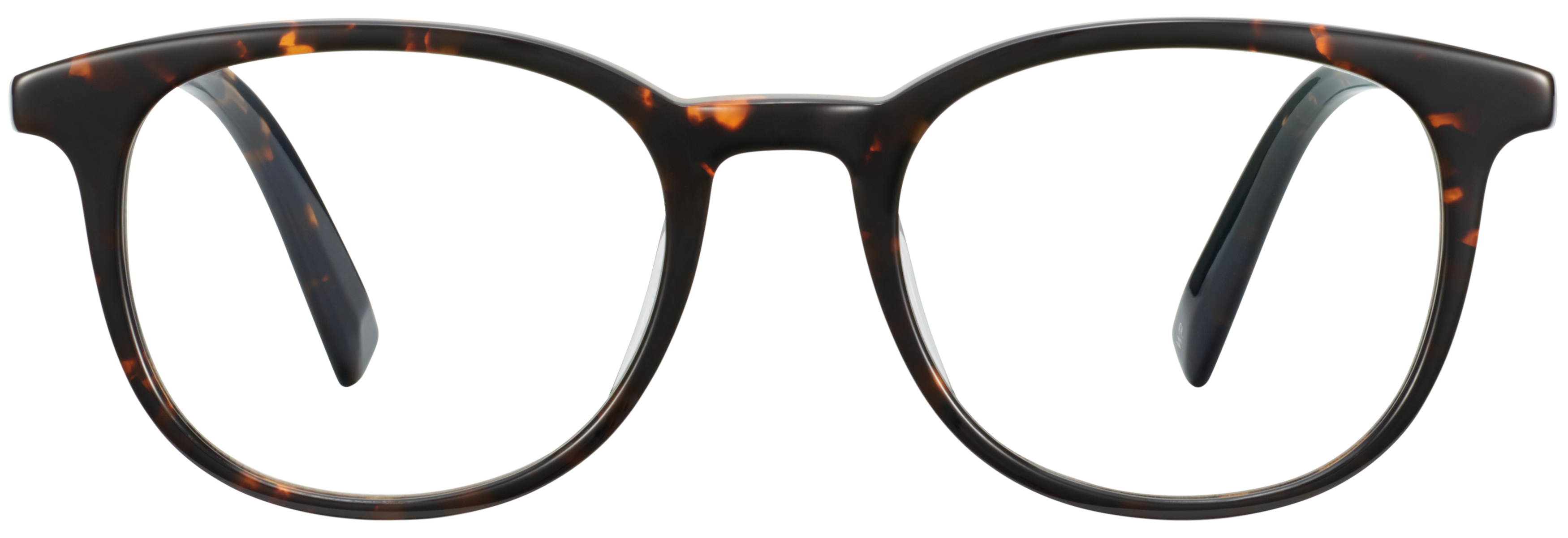 Durand Whiskey Tortoise, baseTransparent view
