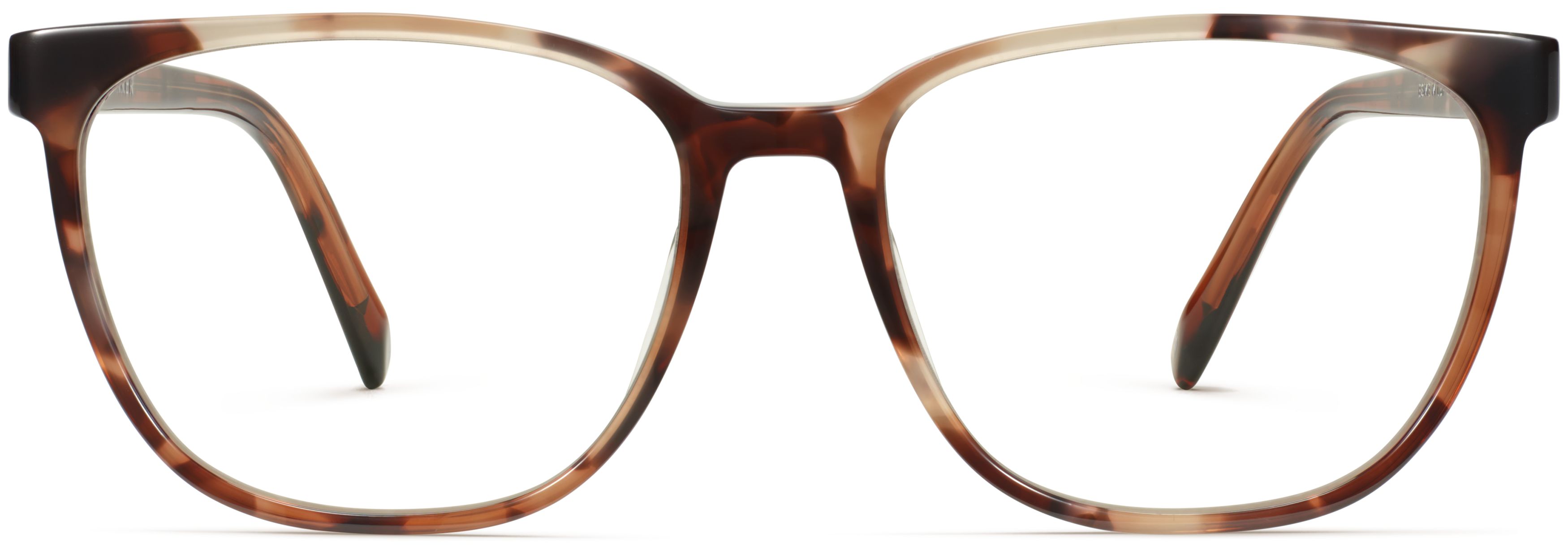 Esme Sesame Tortoise, front view