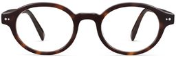 Leuda in Cola Tortoise, thumbnail 4