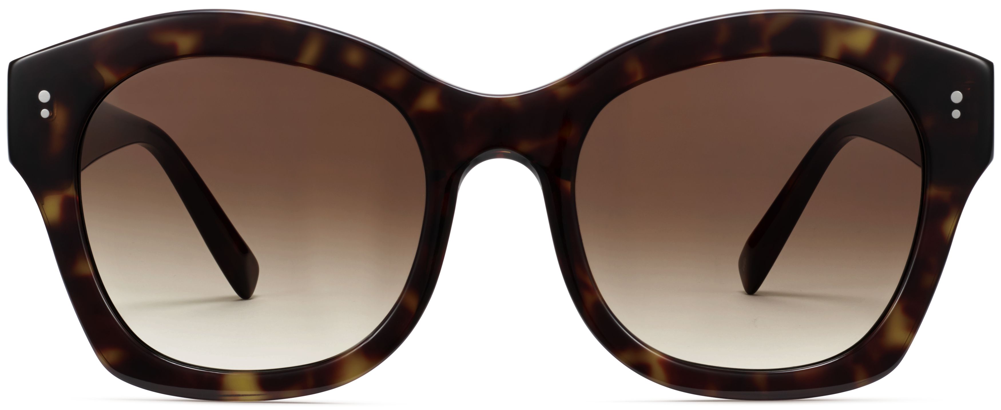 Gael Cognac Tortoise, front view