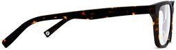 Gilbert in Whiskey Tortoise, thumbnail 5