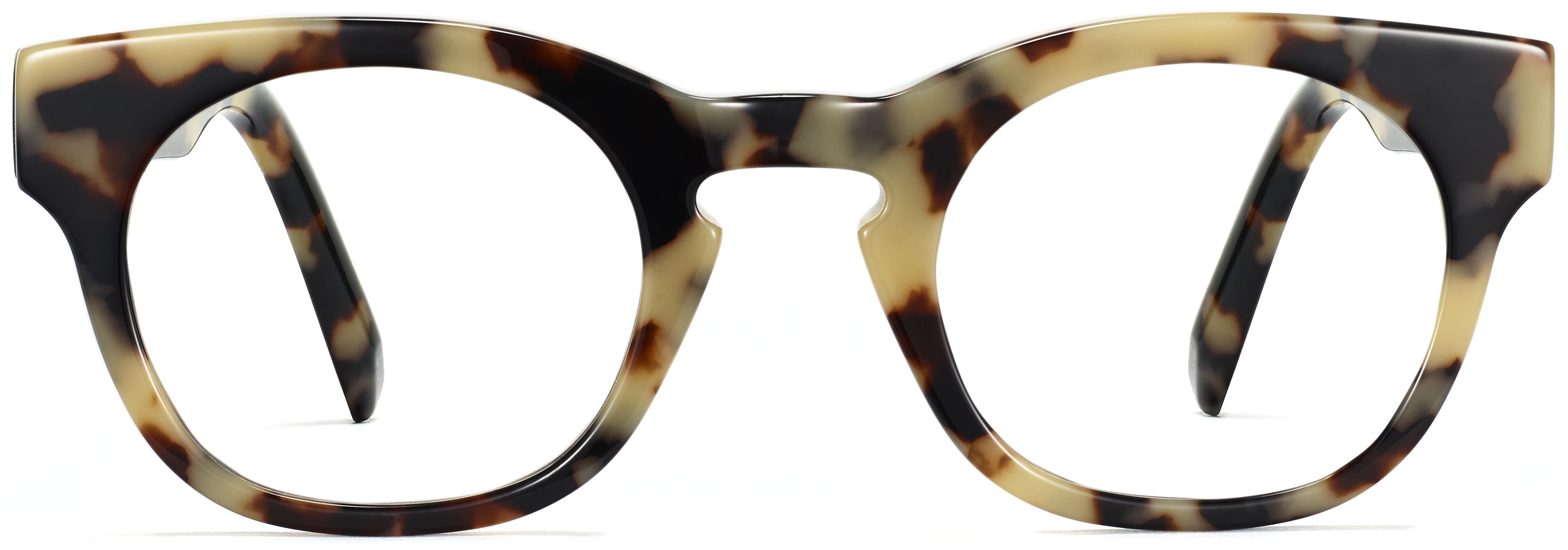 Kimball Marzipan Tortoise, front view