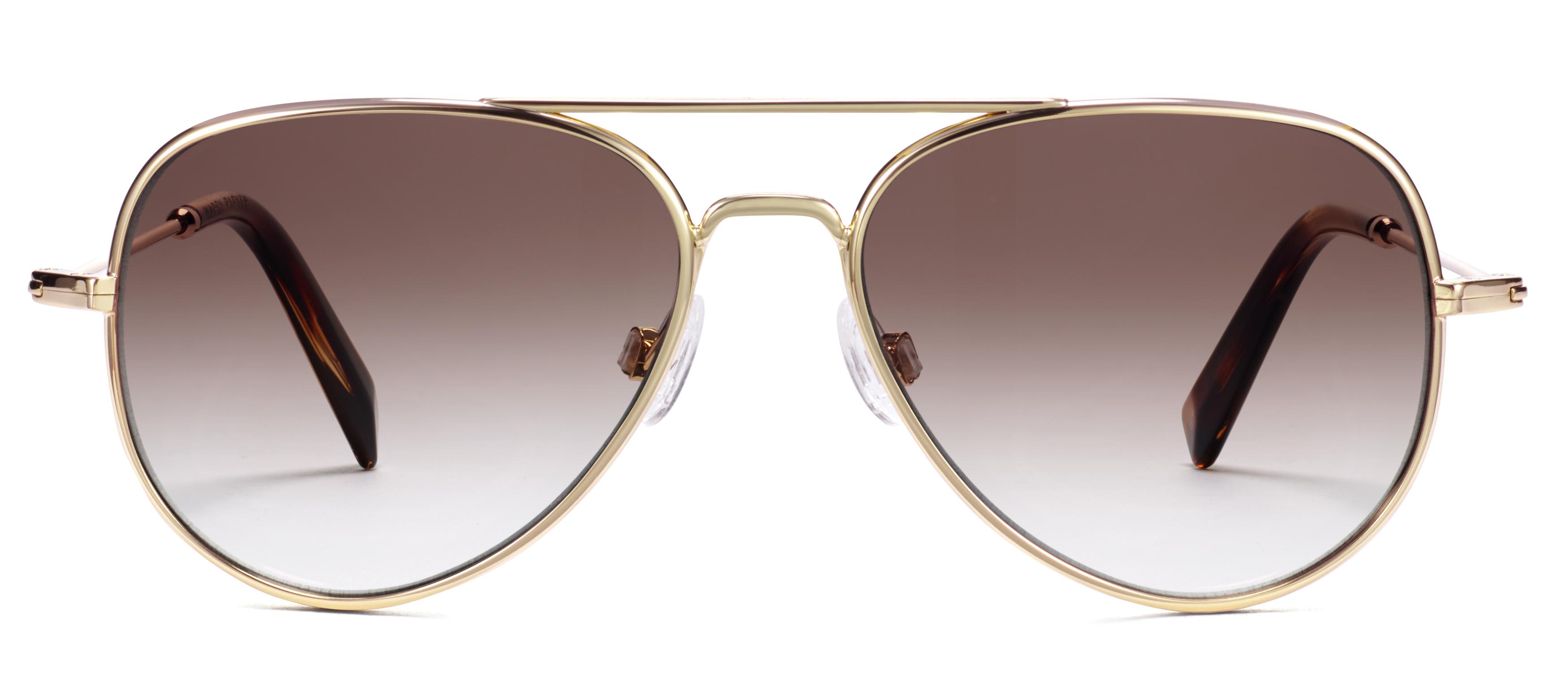 Raider Sunglasses in Polished Gold