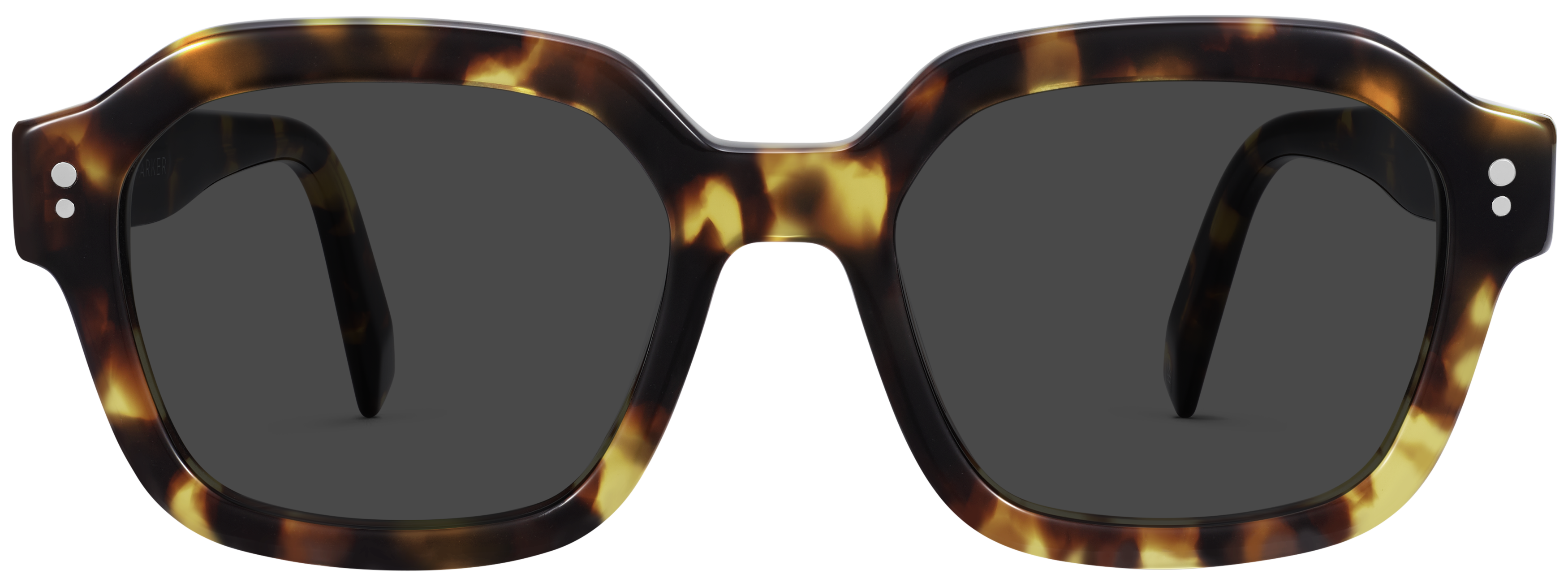 Babs Tamarind Tortoise, baseTransparent view