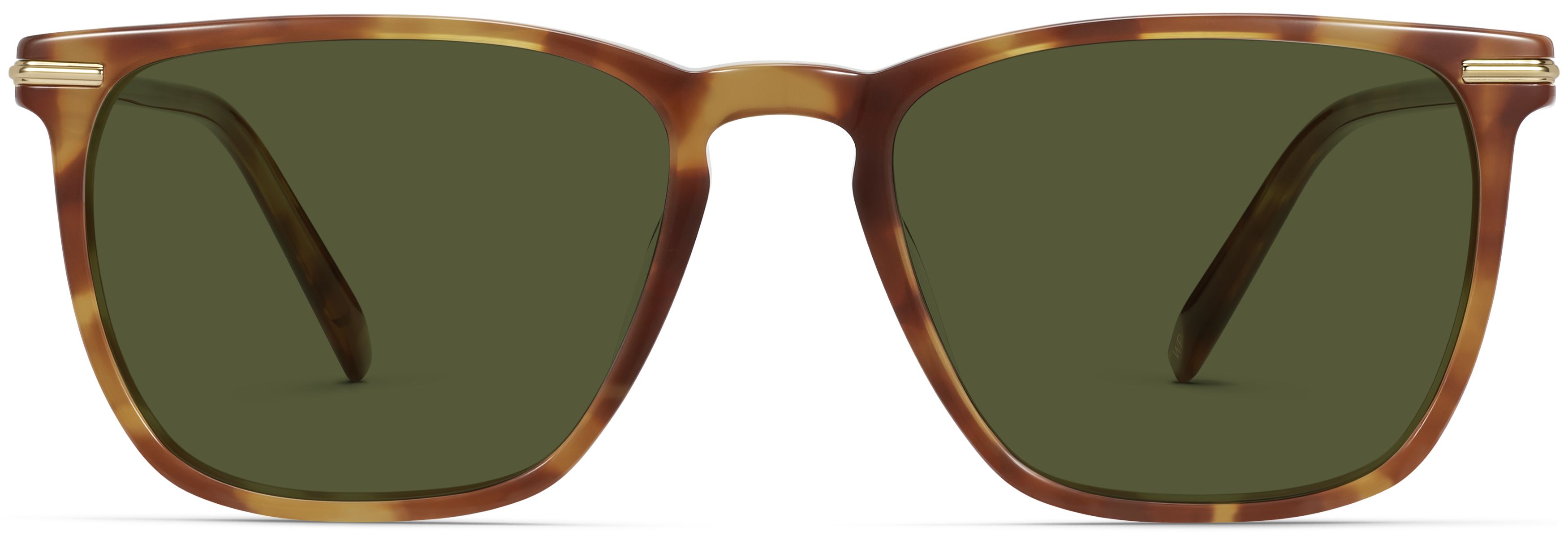 Sutton Saddle Tortoise with Polished Gold, front view