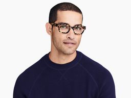 Latrell in Marzipan Tortoise, thumbnail 2