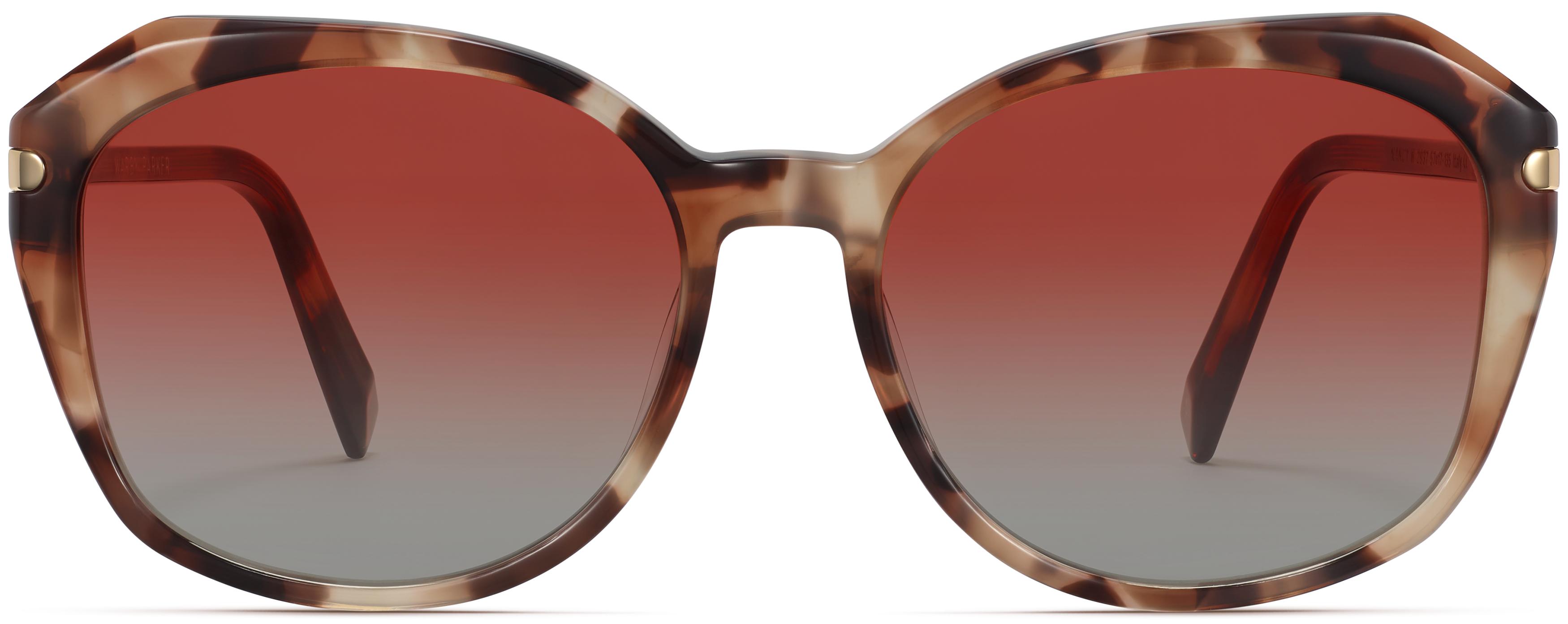 Nancy Sunglasses in Sesame Tortoise with Polished Gold  display picture 2