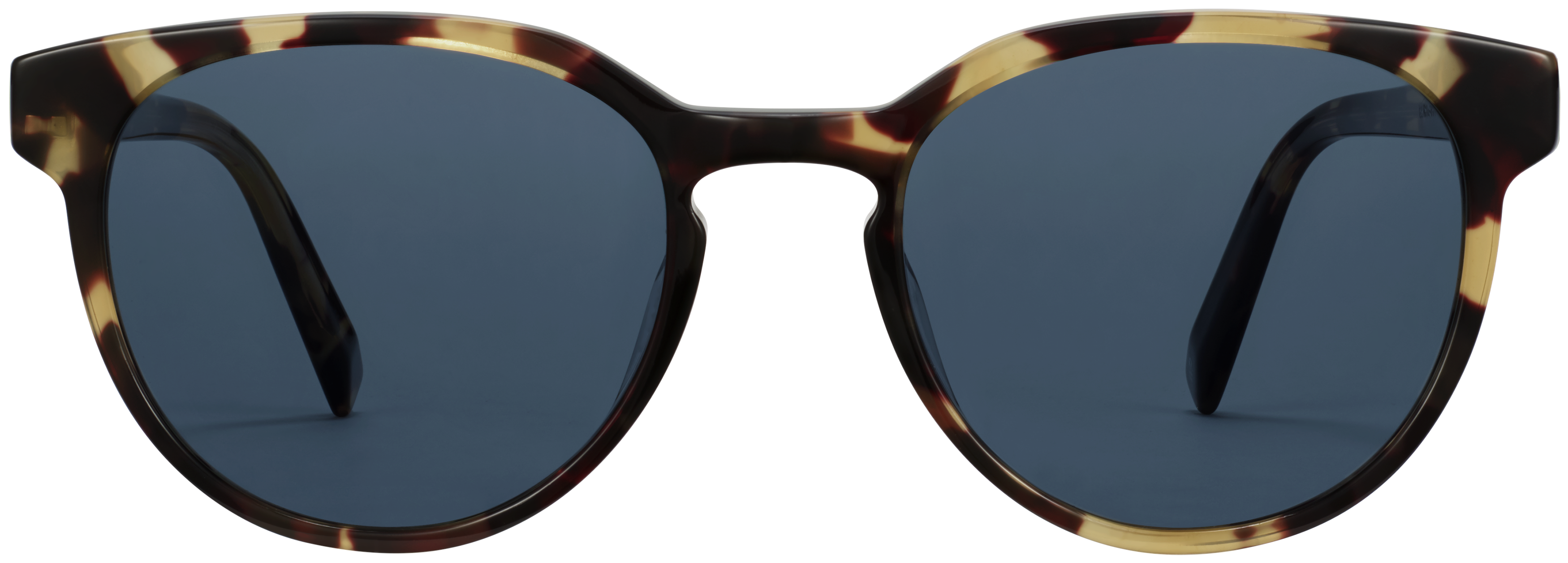 Wright Walnut Tortoise, baseTransparent view