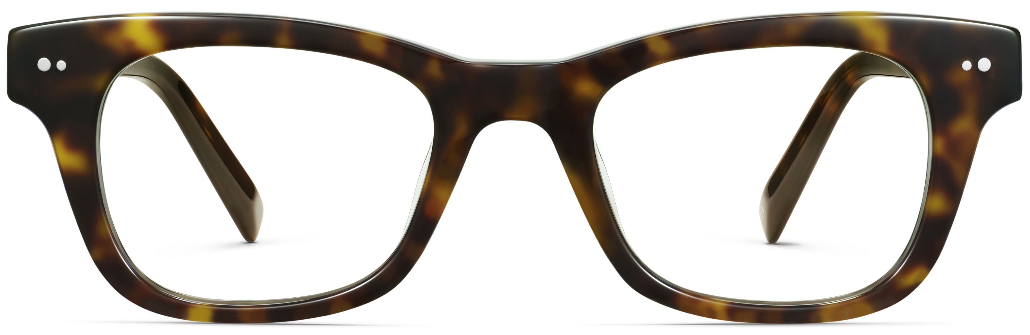 Freddy Ristretto Tortoise, front view