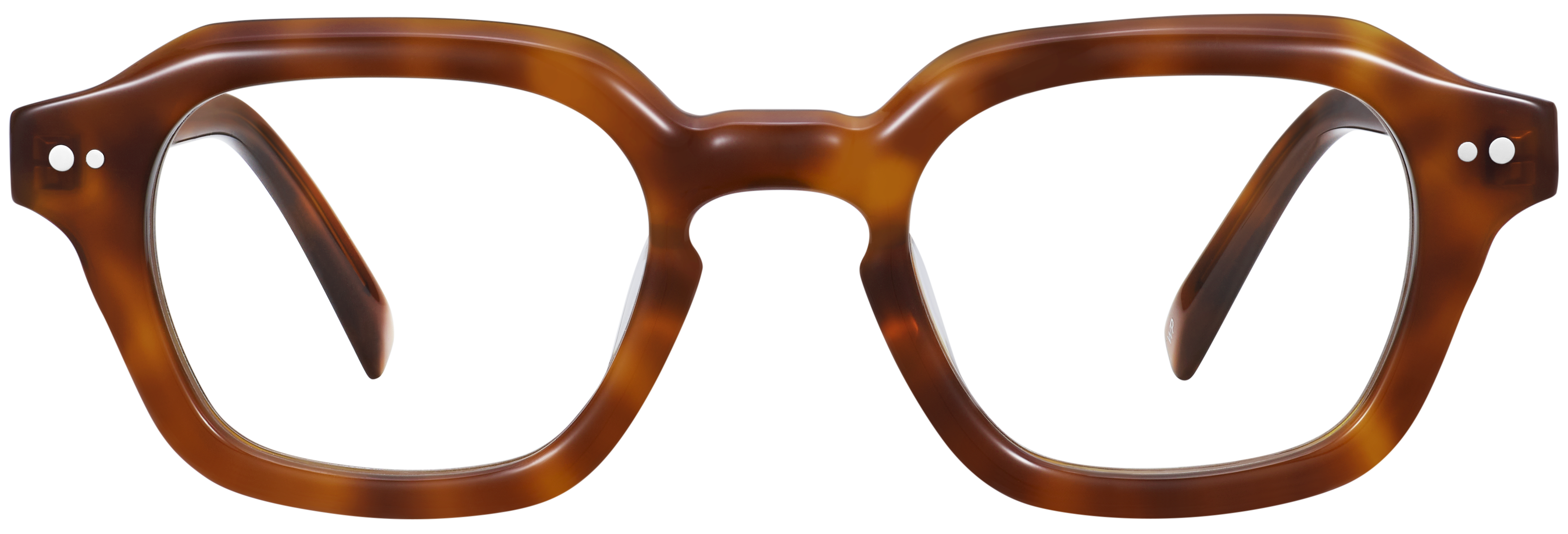 Carson Cinnamon Tortoise, baseTransparent view