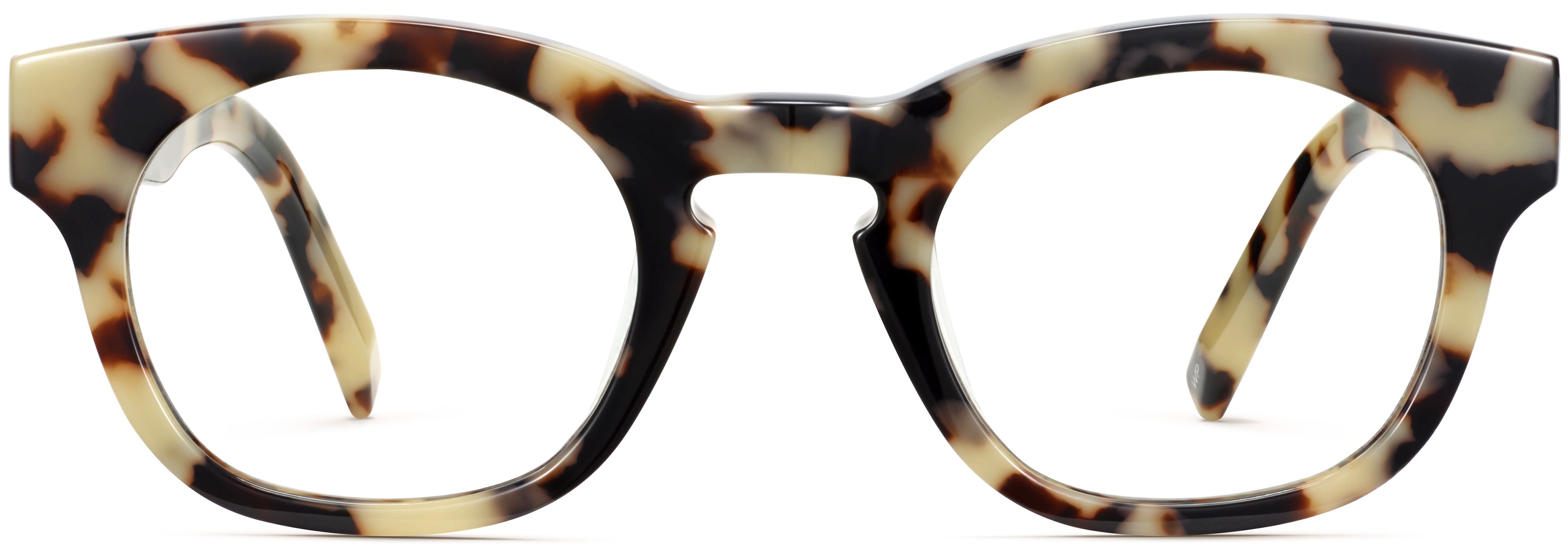 Kimball Marzipan Tortoise, front view