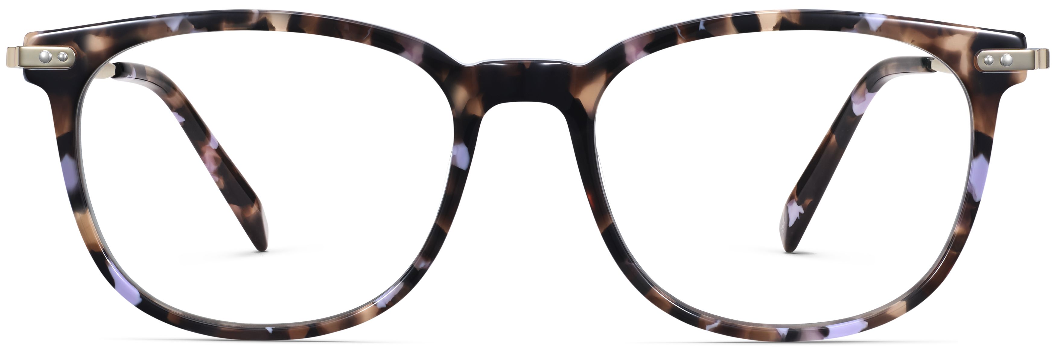 Cicely Lavender Tortoise with Riesling, front view