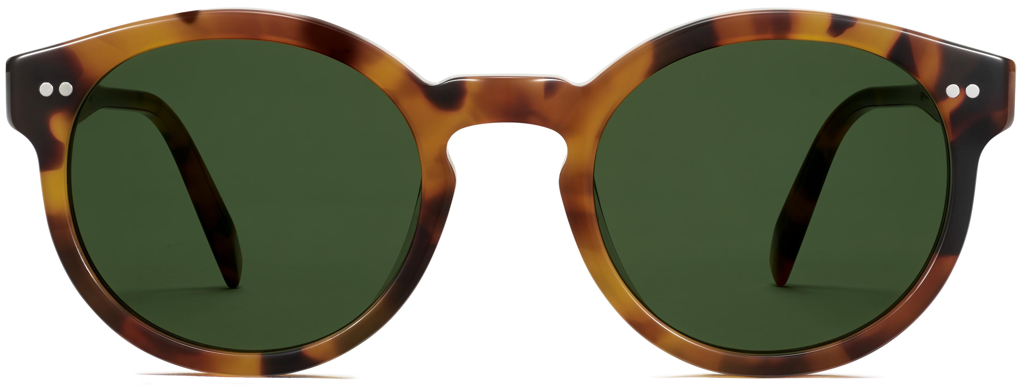 warby parker ray ban