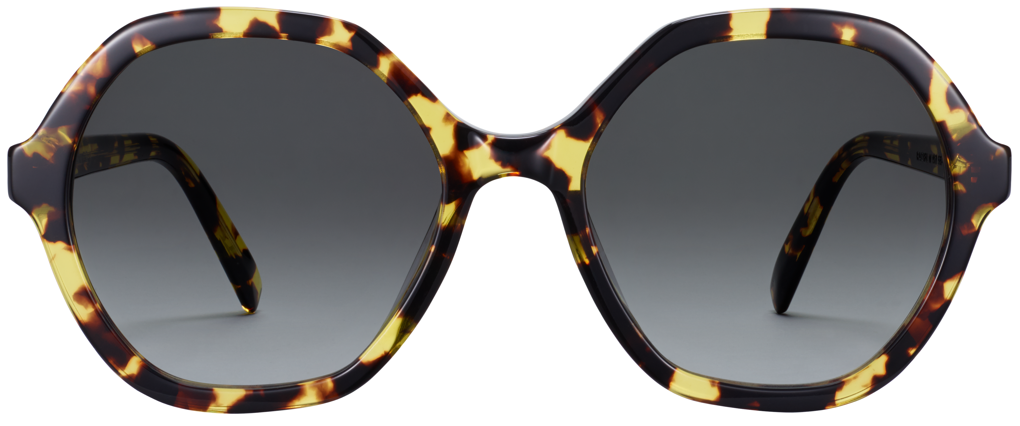 Rachel Mesquite Tortoise, baseTransparent view
