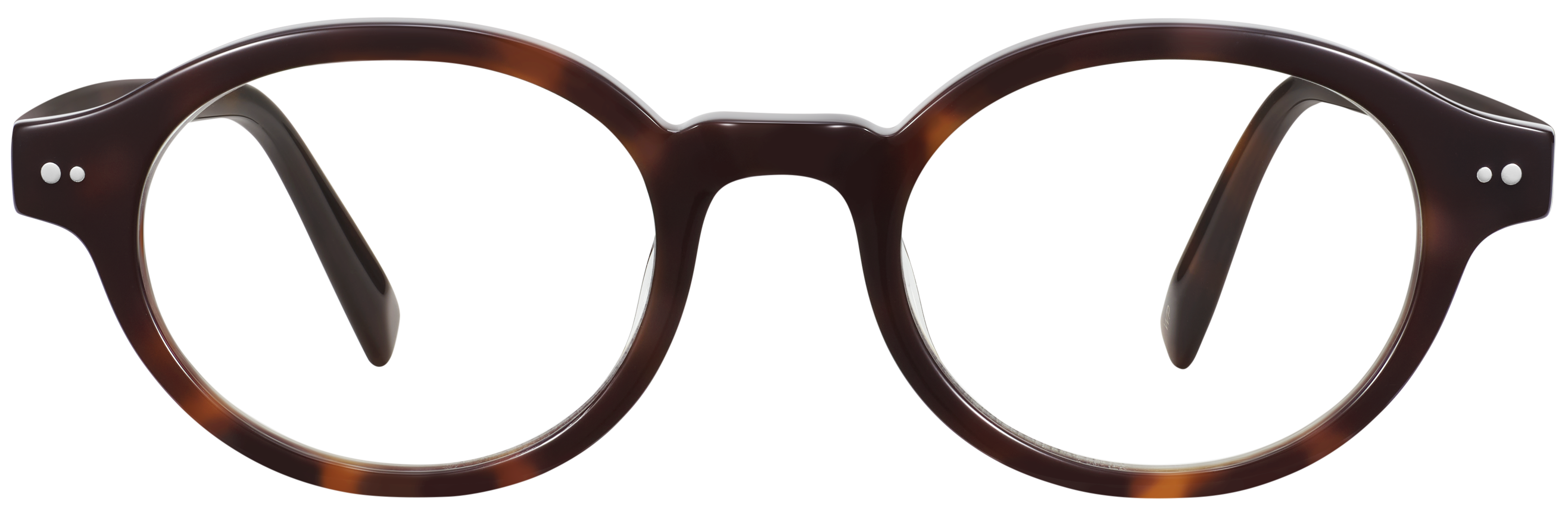 Leuda Cola Tortoise, baseTransparent view