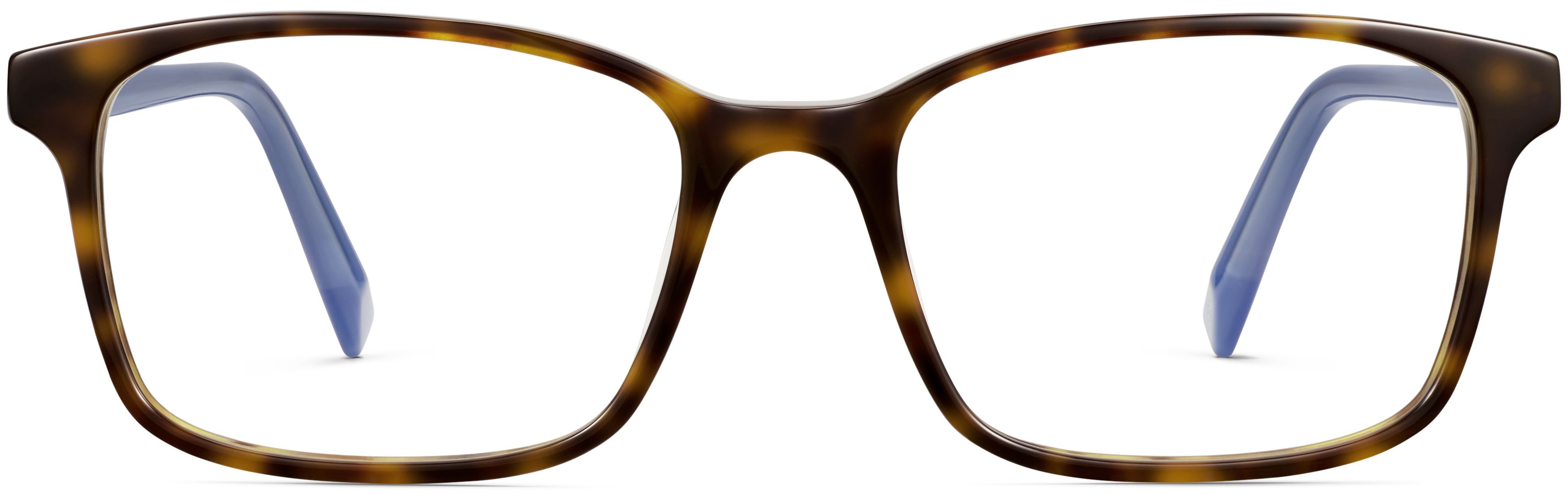 Brady Ristretto Tortoise with French Blue, front view