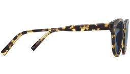 Hayes in Mesquite Tortoise, thumbnail 5