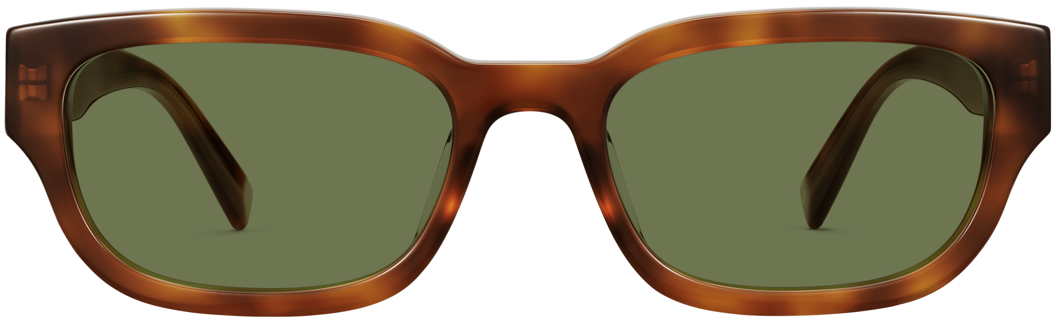 Auggie Cinnamon Tortoise, baseTransparent view