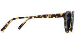 Hayes in Mesquite Tortoise, thumbnail 5