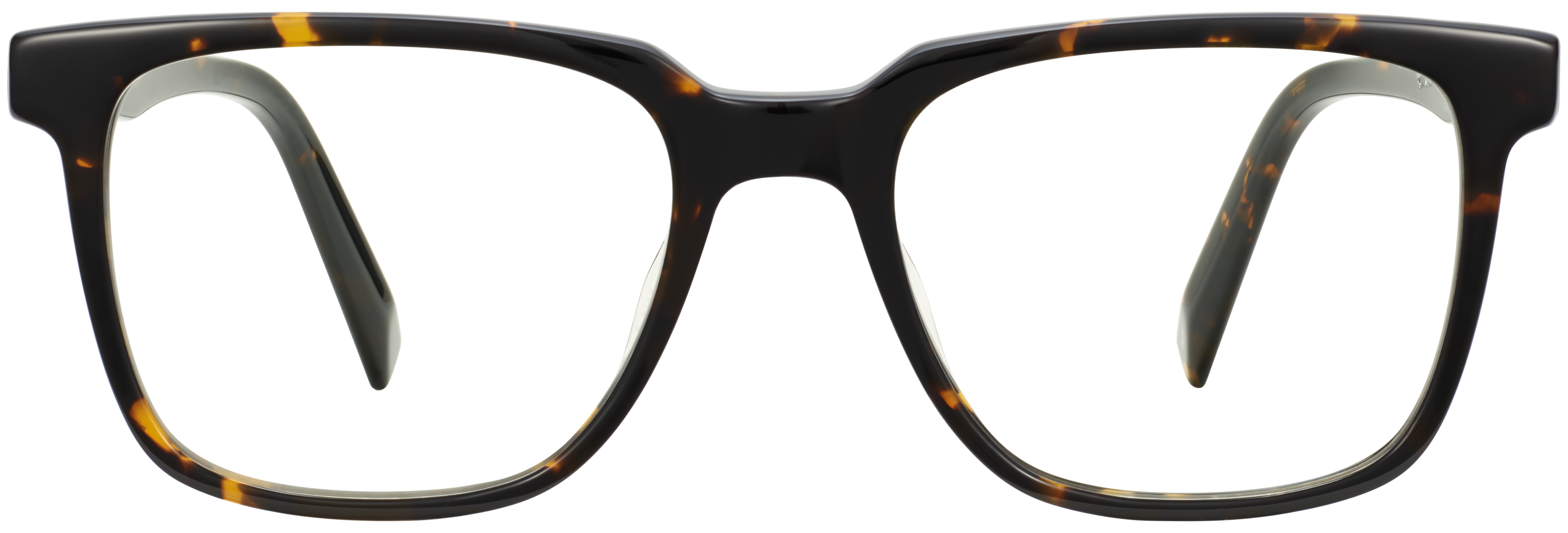 Chamberlain Whiskey Tortoise, baseTransparent view