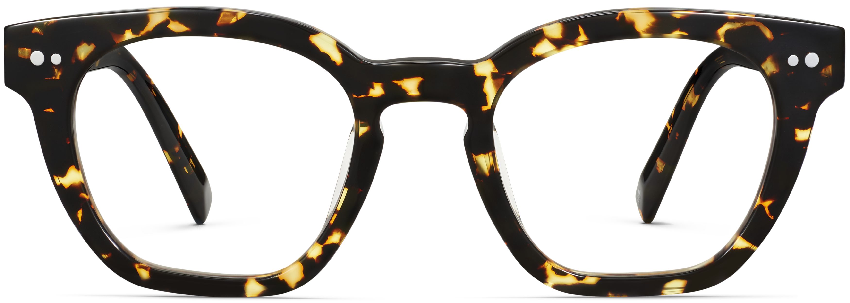 Terrell Black Oak Tortoise, front view
