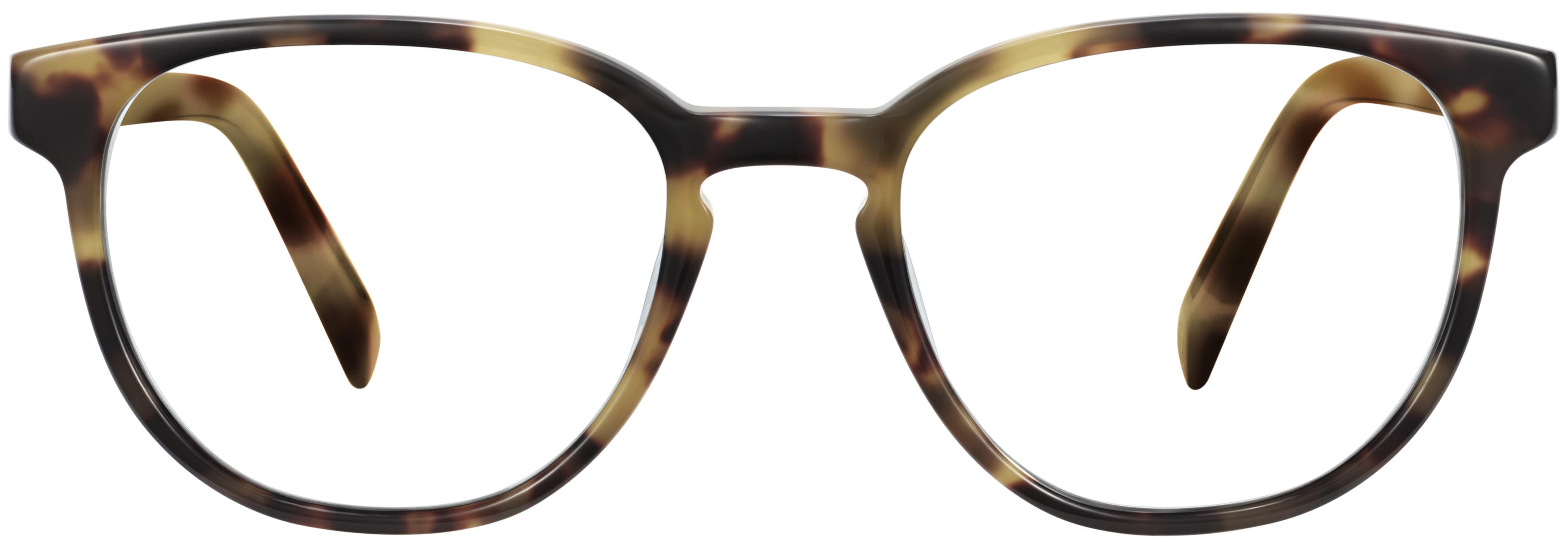 Sydney Brioche Tortoise, baseTransparent view